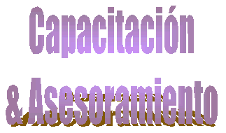 CAPACITACIN Y ASESORAMIENTO