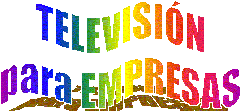 TELEVISIN PARA EMPRESAS